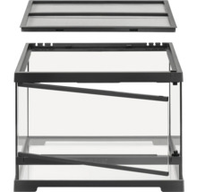 Terrarium en verre avec couvercle