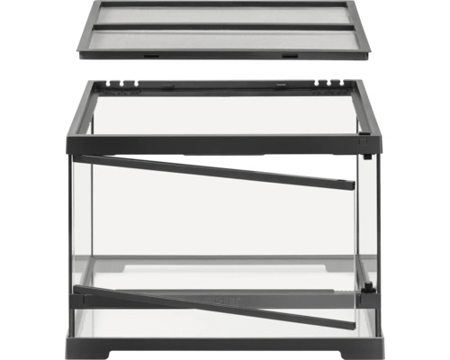 Terrarium en verre avec couvercle