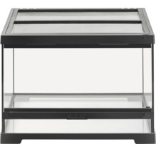 Terrarium en verre avec couvercle grillagé