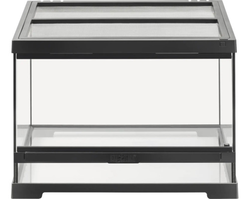 Terrarium en verre avec couvercle grillagé