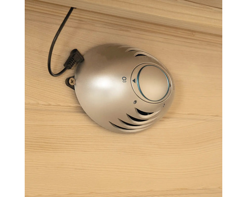 Ozoniseur pour la neutralisation des odeurs dans le sauna