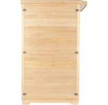 Sauna en bois avec revêtement en bois horizontal