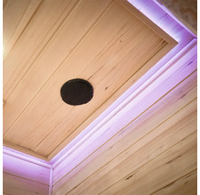 Plafond avec haut-parleur et éclairage