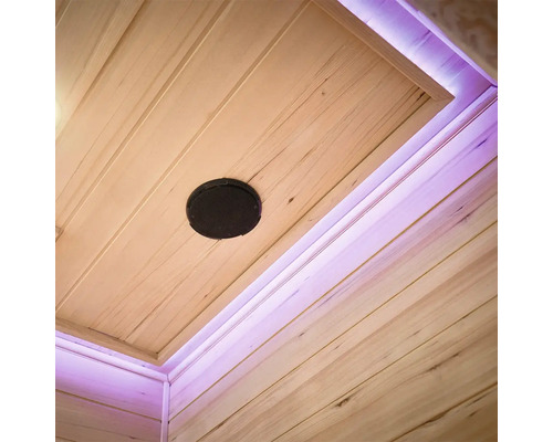 Plafond avec haut-parleur et éclairage