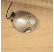Ozonisateur pour la purification de l'air dans le sauna