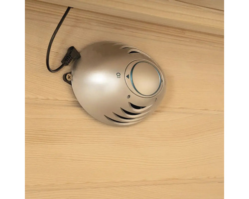 Ozonisateur pour la purification de l'air dans le sauna