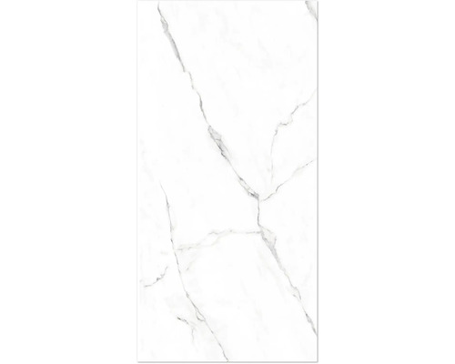 Panneau mural de douche BREUER marbre blanc haute brillance 255 x 125 cm 9482549000198 Carrelage blanc aspect marbre