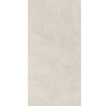 Aménagement mural avec technique à spatule