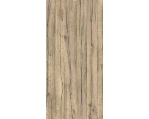 Panneau mural de douche BREUER aspect bois chêne 210 x 150 cm 9482532000178 Texture de bois pour la fabrication de meubles ou l'aménagement intérieur