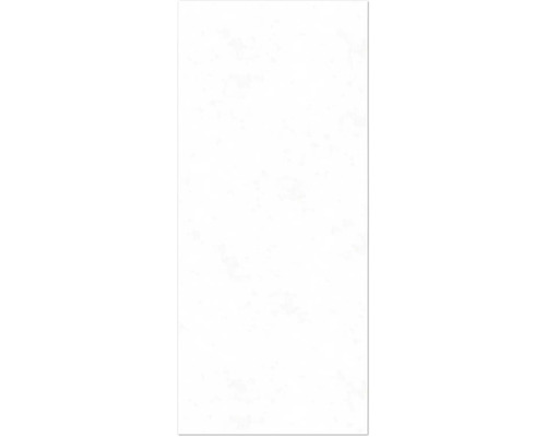 Panneau mural de douche BREUER aspect pierre blanc 210 x 125 cm 9482508000213 Motif de carrelage