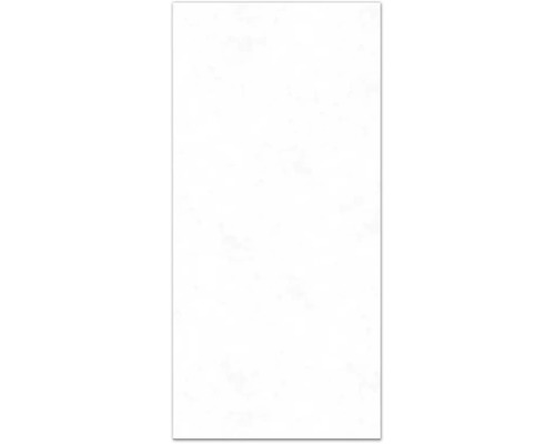 Panneau mural de douche BREUER Terrazzo mat satiné blanc 210 x 150 cm 9482542000178 Feuille de papier