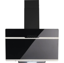 Hotte aspirante murale