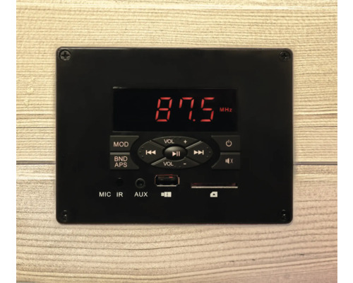 Module audio noir avec écran, boutons et connecteurs