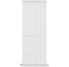 Radiateur vertical avec plusieurs tubes de chauffage