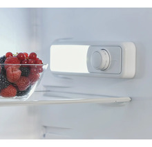 Vue intérieure d'un réfrigérateur avec un bol de baies et un thermostat.