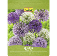 Paquet d'ail d'ornement Allium Allure Mix avec le logo FloraSelf