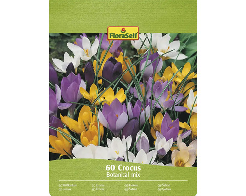 Blumenzwiebel Krokus FloraSelf 'Botanische Mischung' 60 Stück FloraSelf Krokus Botanical Mix Packung mit 60 Stück