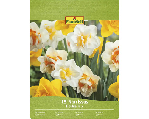 Bulbe Narcisse FloraSelf ' mélange complet ' 15 pièces Paquet de 15 jonquilles, mélange de variétés doubles