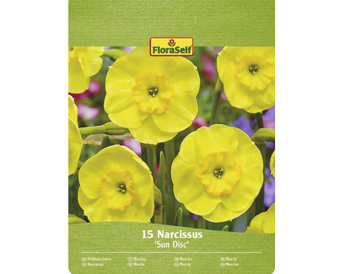 Paquet de 15 narcisses de la variété Sun Disc