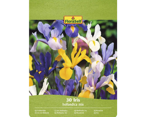 FloraSelf Mélange d'iris de Hollande, lot de 30