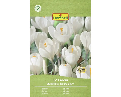 Blumenzwiebel Krokus FloraSelf 'Jeanne d'Arc' 12 Stück Packung mit zwölf Krokus grandiflora Jeanne d'Arc Blumenzwiebeln