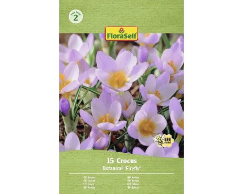 Bulbes de crocus FloraSelf 'Firefly' 15 pièces Emballage de 15 bulbes de crocus botanique 'Firefly'