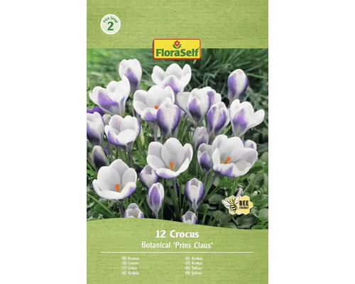 Bulbes de crocus FloraSelf 'Prins Claus' 12 pièces FloraSelf Crocus Prins Claus, paquet de 12 pièces