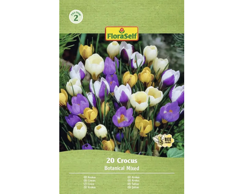 Blumenzwiebel Krokus FloraSelf 'Botanische Krokusse Mischung' 20 Stück Packung Krokusse mit botanischer Mischung, 20 Stück