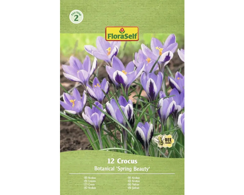 Bulbes de crocus FloraSelf 'Spring Beauty' 12 pièces Paquet de 12 bulbes de crocus de type Botanical 'Spring Beauty'