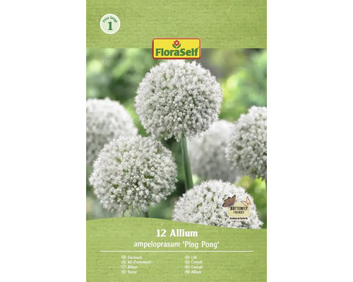 Bulbes d'ail d'ornement FloraSelf 'Ping Pong' 12 pièces Emballage de 12 bulbes d'Allium ampeloprasum 'Ping Pong' de FloraSelf