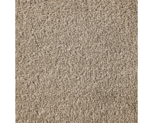 Moquette Velours Ines cappuccino FB90 largeur 400 cm (au mètre) Gros plan d'un tapis