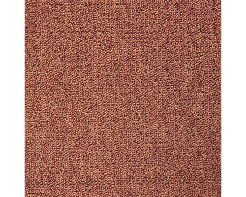 Moquette bouclée Rambo terre cuite FB38 largeur 400 cm (au mètre) Gros plan d'un sol en moquette