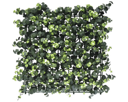 Eukalyptusmatte zur Wandgestaltung Eukalyptusmatte zur Wandgestaltung