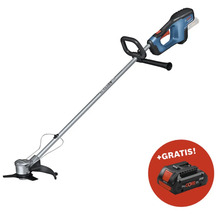 Akku-Rasentrimmer mit Akku im Lieferumfang