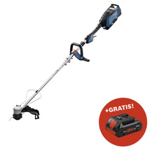 Akku Rasentrimmer mit zusätzlichem Akku