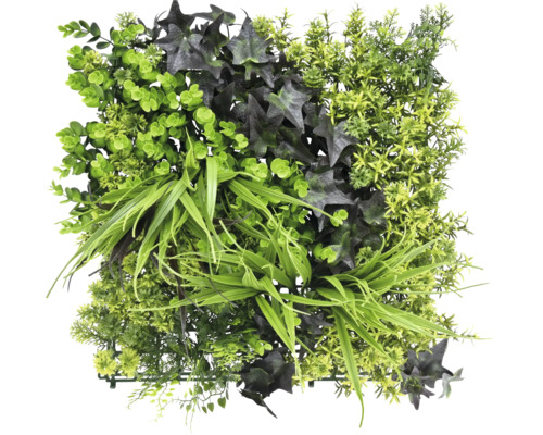 Mur végétal artificiel Monet 38 x 38 cm Panneau de plantes artificielles avec différentes espèces de plantes vertes.