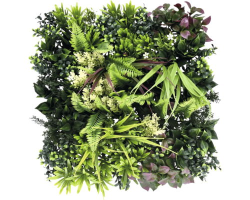 Mur végétal artificiel Thallo fly 38 x 38 cm Mur végétal artificiel avec différentes espèces de verdure