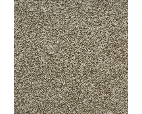 Teppichboden Shaggy Banwell beige FB72 400 cm breit (Meterware) Nahaufnahme eines Teppichs