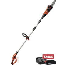 Élagueuse sur perche sans fil avec batterie et chargeur