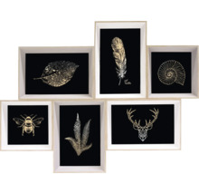 Image murale en plusieurs parties avec des motifs de feuille, plume, coquillage, abeille, fougère et bois de cerf