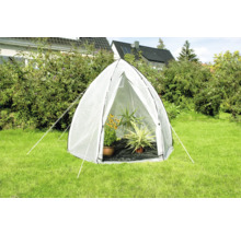 Tunnel de serre avec des plantes dans le jardin