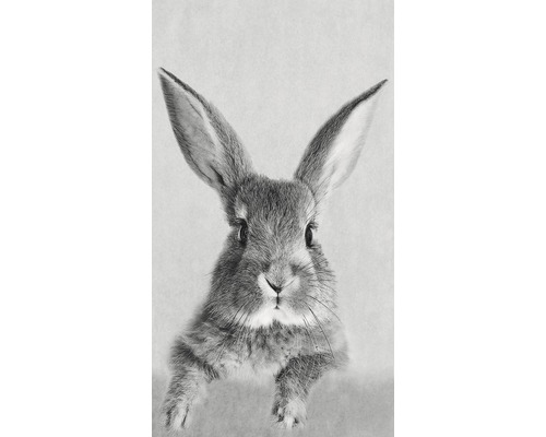 Panneau décoratif Rabbit 15x30cm
