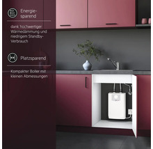 Kompakter Untertischboiler in einem Küchenschrank unter einer Spüle installiert