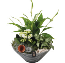 Vase planté avec plantes vertes et fleurs blanches
