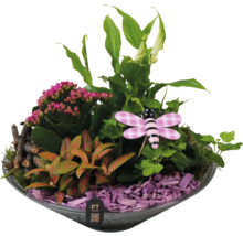 Arrangement avec plantes d'intérieur, copeaux de bois et figurine décorative dans un bol