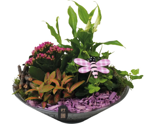 Arrangement avec plantes d'intérieur, copeaux de bois et figurine décorative dans un bol