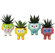 Quatre pots de fleurs décoratifs en forme de hibou plantés de plantes grasses
