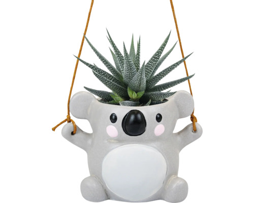 Pot de fleurs suspendu en forme de koala avec plante succulente