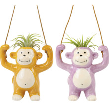 Deux pots de fleurs suspendus en forme de singe avec des plantes