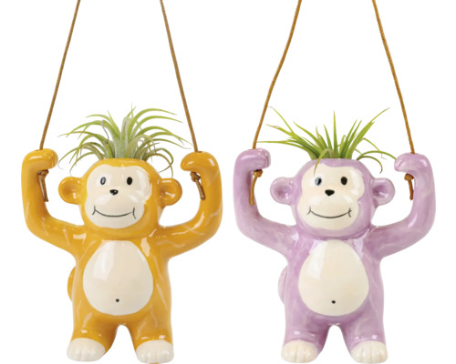 Deux pots de fleurs suspendus en forme de singe avec des plantes